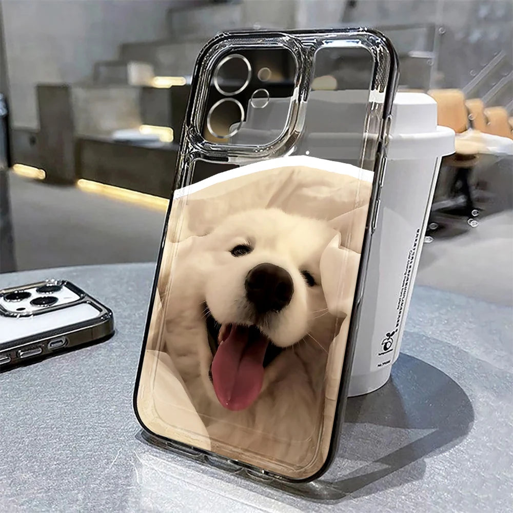 Lovely Cat Soft Phone Case For iPhone