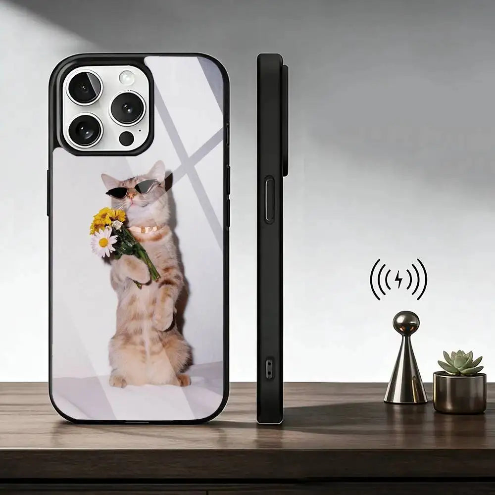 Funny Animal Cat  Phone Case For iPhone